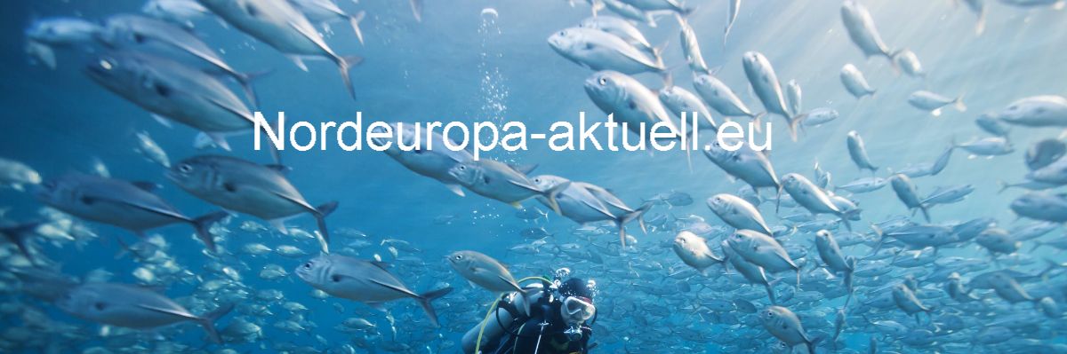 nordeuropa-aktuell.conception-blog.com
